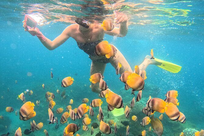 Snorkeling 4 Spot With Manta Bay Or Optional Land Trip - Boat, Timing, and Meeting at Ped Dock