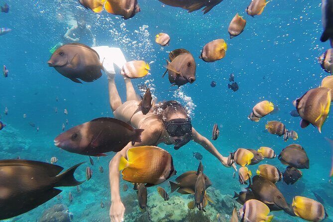 Snorkeling 4 Spot With Manta Bay Or Optional Land Trip - Who Should Book (and Who Might Prefer the Land Option)