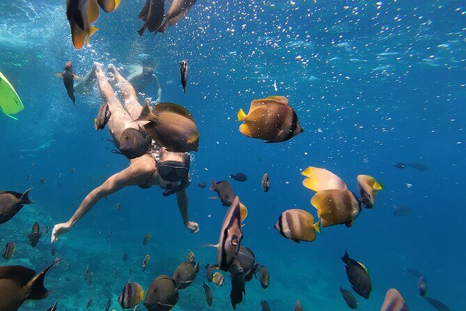 Snorkeling 4 Spot With Manta Bay Or Optional Land Trip - Price and Value: Why $14.14 Can Be a Smart Deal