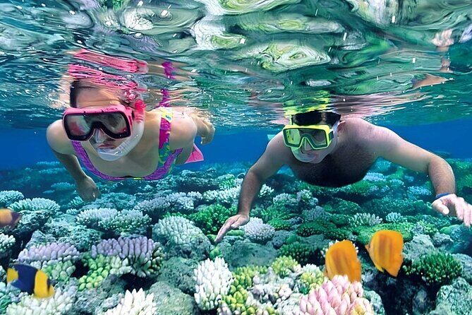 Snorkeling 4 Spot With Manta Bay Or Optional Land Trip - The Other Three Stops: Gamat Bay, Wall Point, and Crystal Bay