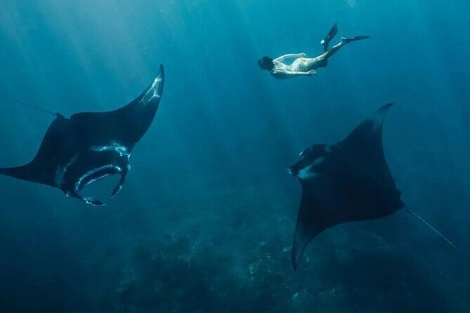 Snorkeling 4 Spots, Manta Rays, Tembeling Pool & Kelingking Beach - Key things I’d book this for