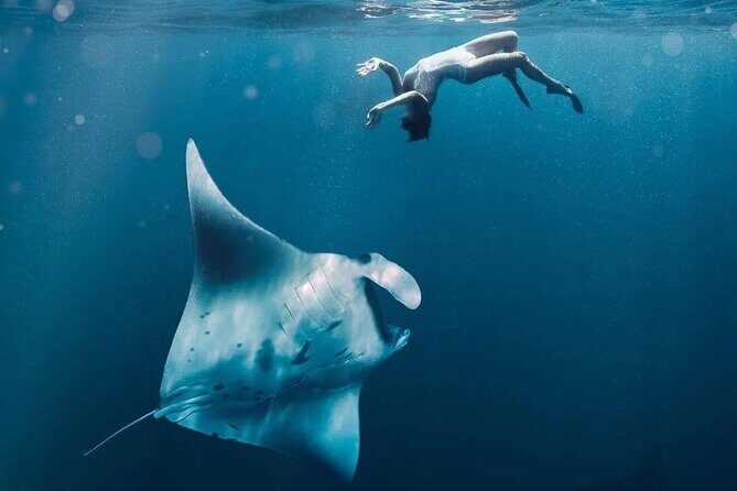Snorkeling 4 Spots, Manta Rays, Tembeling Pool & Kelingking Beach - Morning Pickup and the Sanur Fast-Boat Start