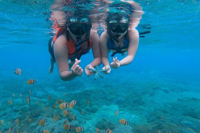 Snorkeling 4 Spots, Manta Rays, Tembeling Pool & Kelingking Beach - Lunch at El Moon Penida Before the Clifftop Stops