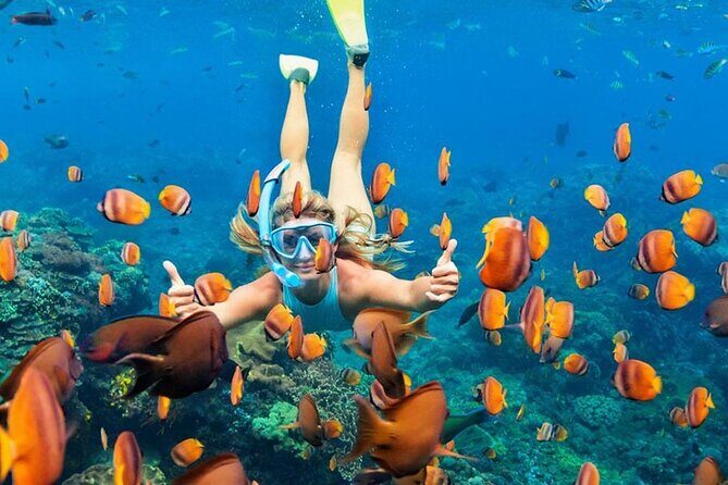 Snorkeling adventure to the manta ray habitat in Nusa Penida - Practical Tips for Your Best Chance in the Water
