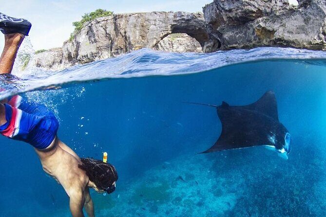 Snorkeling adventure to the manta ray habitat in Nusa Penida - Manta Point: What a 99% Encounter Really Means