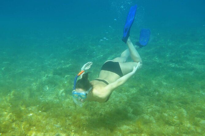 Snorkeling Adventure with East Nusa Penida Tour All Inclusive - Tree House Molenteng at Atuh King Five (Raja Lima/Thousand Island)