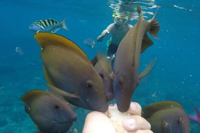 Snorkeling Adventure with East Nusa Penida Tour All Inclusive - The rest of your Nusa Penida day: pacing, heat, and island reality