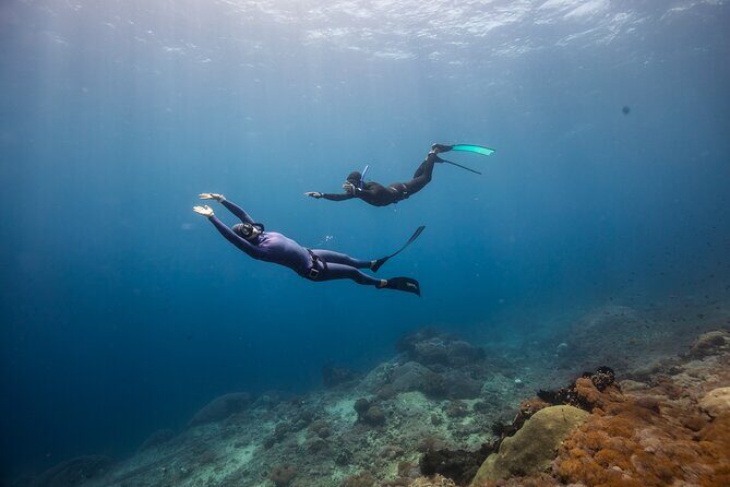 Snorkeling and Freediving Trip around Nusa Penida - SD Point drift: relaxed reef time and turtle chances