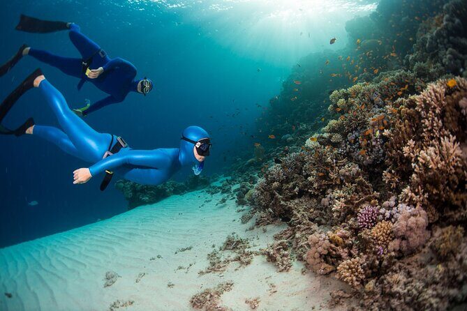 Snorkeling and Freediving Trip around Nusa Penida - Meeting at Freedive Nusa: gear, briefing, and what you should bring