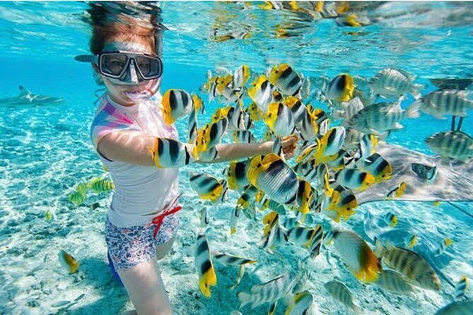 Snorkeling At Blue lagoon And Hidden waterfall - Key Highlights You’ll Care About