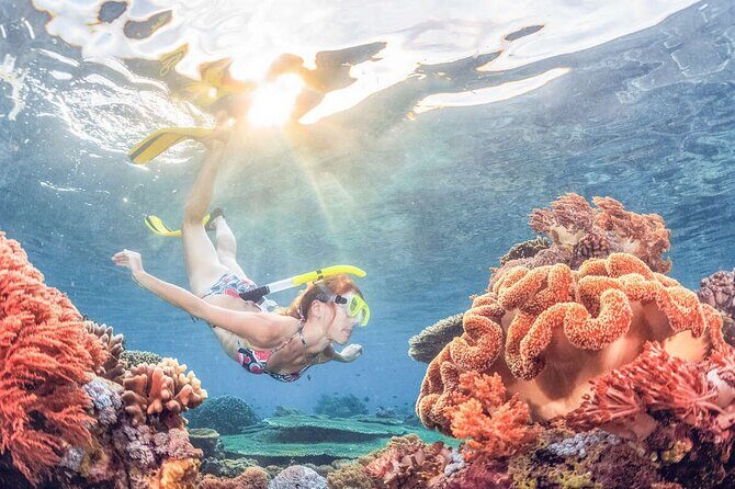 Snorkeling at Blue Lagoon Bali with Lunch and Transport - Getting there from Ubud: pickup, ride time, and how to use it