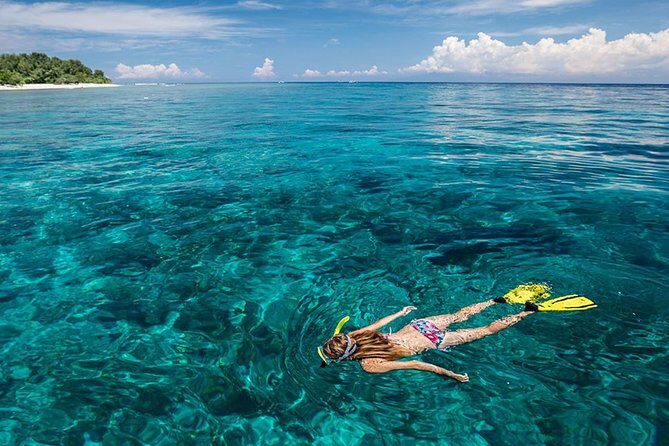 Snorkeling at Blue Lagoon Bali with Lunch and Transport - What you’ll see: fish, reef life, and how to spot wildlife