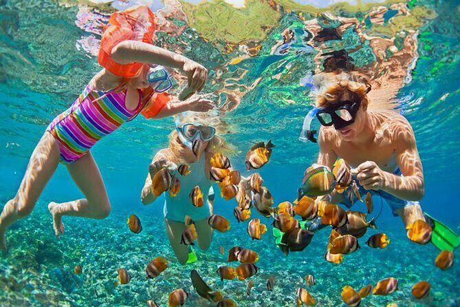 Snorkeling at Blue Lagoon Bali with Lunch and Transport - The boat transfers: traditional style, practical timing