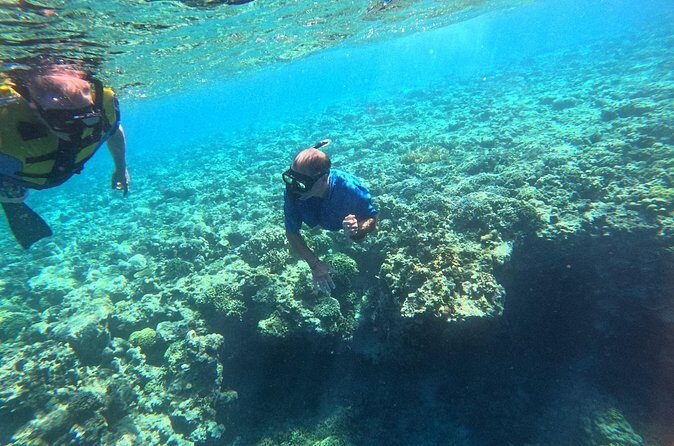 Snorkeling at Menjangan Island Bali Hidden Underwater Gem - What the 4.5 Hours Feels Like on the Clock