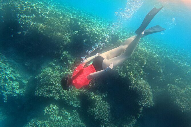 Snorkeling at Menjangan Island Bali Hidden Underwater Gem - Hotel Pickup and the Banyuwedang Beach Boat Ride