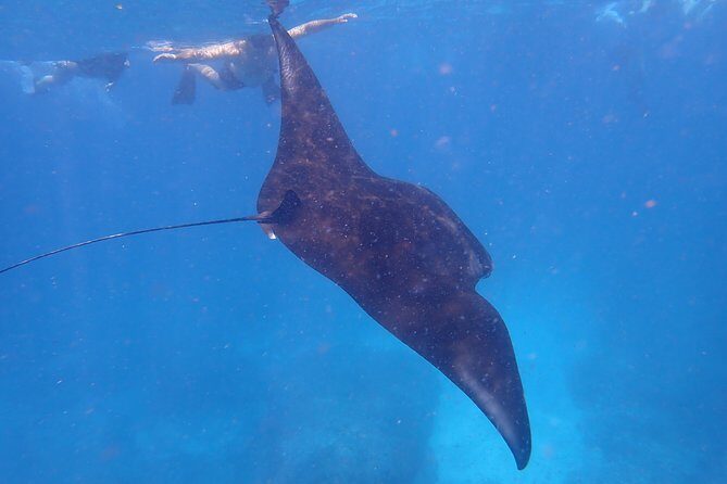 Snorkeling Day Trip To Lembongan and Penida - Managing 9 hours: how this trip stays fun instead of exhausting