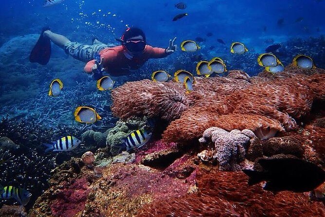 Snorkeling Day Trip To Lembongan and Penida - The Lembongan base moment: snacks, gear, lockers, and a reset