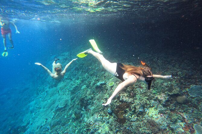 Snorkeling Day Trip to Nusa Lembongan and Nusa Penida - Key things to know before you go