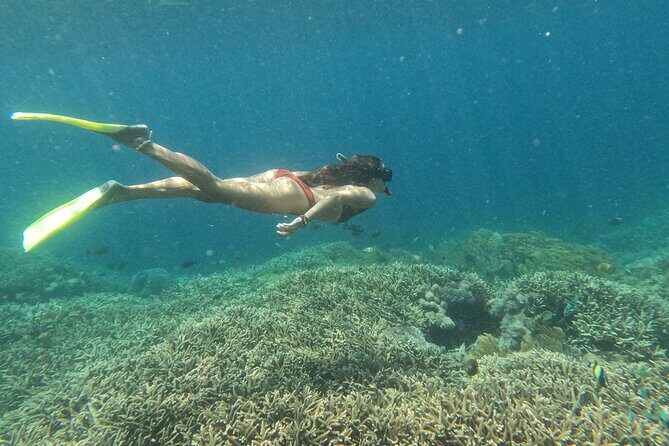 Snorkeling Day Trip to Nusa Lembongan and Nusa Penida - Getting There: Seminyak pickup and a fast-boat rhythm from Sanur