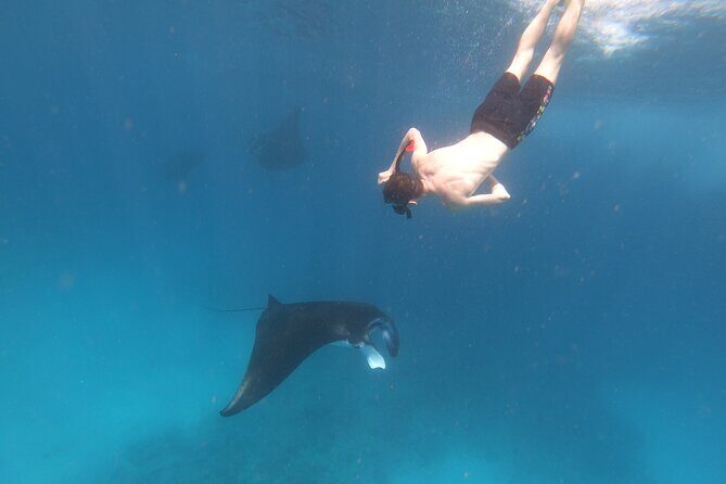 Snorkeling Day Trip to Nusa Lembongan and Nusa Penida - Stop 1 to Stop 3: Lembongan, Penida, and Mangrove Point timing
