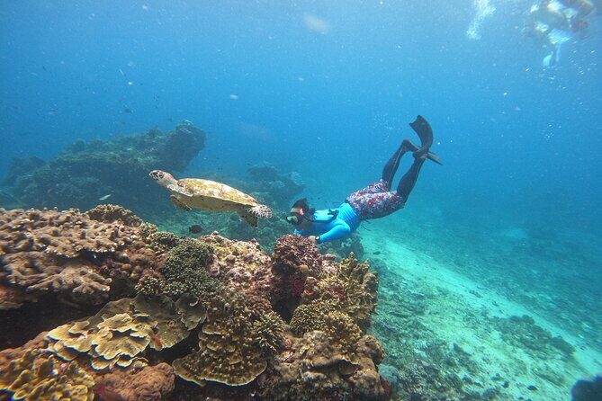 Snorkeling Day Trip to Nusa Lembongan and Nusa Penida - What’s included for $42.55: gear, meals, and insurance value