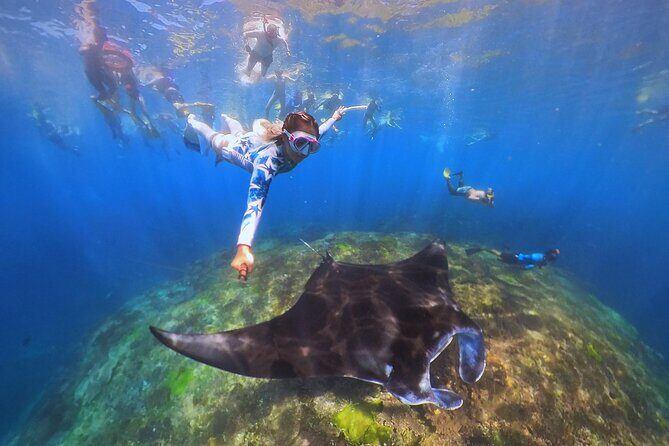 Snorkeling Day Trip to Nusa Lembongan and Nusa Penida - Comfort, safety, and who this trip fits best