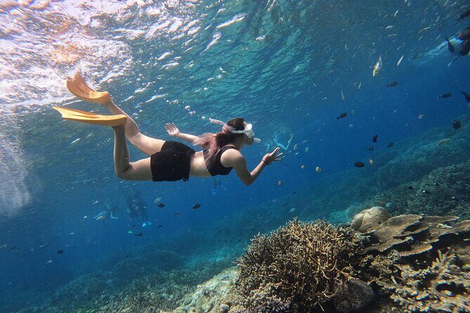 Snorkeling Day Trip to Nusa Lembongan and Nusa Penida - Snorkeling Stops: Three spots, guided timing, and the manta priority