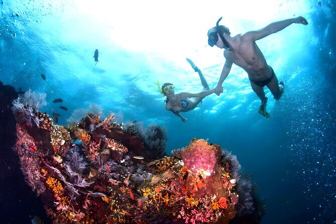 Snorkeling in Blue Lagoon Padang Bai Bali : Snorkel in the clear blue waters - What you’ll see under the surface: coral, tropical fish, and moray eels