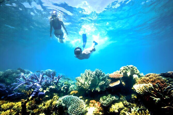 Snorkeling in Blue Lagoon Padang Bai Bali : Snorkel in the clear blue waters - Private Day Trip Flow: pickup, traditional boat, two reef stops, lunch
