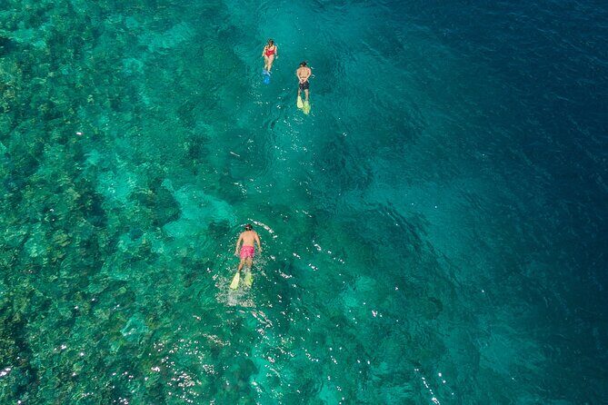 Snorkeling in Menjangan Island with Pickup and Lunch - Hotel pickup and the boat ride rhythm from Banyuwedang Harbor