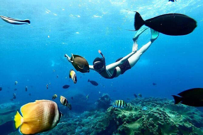 Snorkeling In Nusa Penida And Uluwatu Sunset Tours - Nusa Penida Snorkeling: Manta Point, Crystal Bay, and Gamat Bay