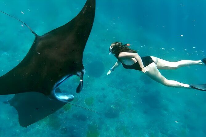Snorkeling In Nusa Penida Departing From Bali Island - Why Nusa Penida Snorkeling Works Best From Bali