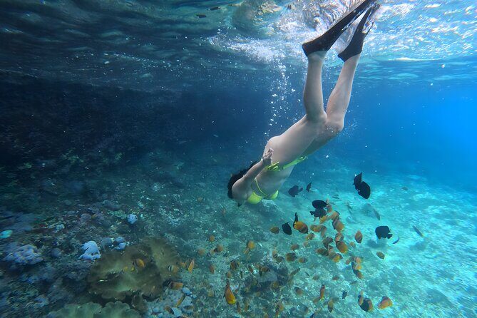 Snorkeling In Nusa Penida Departing From Bali Island - The Real-World Trade-Off: Shared Boats, Popular Spots, and Crowds