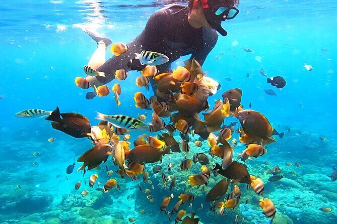 Snorkeling In Nusa Penida Departing From Bali Island - Who This Tour Fits Best (and Who Might Want a Private Option)