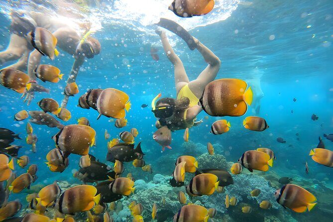 Snorkeling In Nusa Penida Departing From Bali Island - Crystal Bay and Wall Point: Where the Day Feels Most Alive