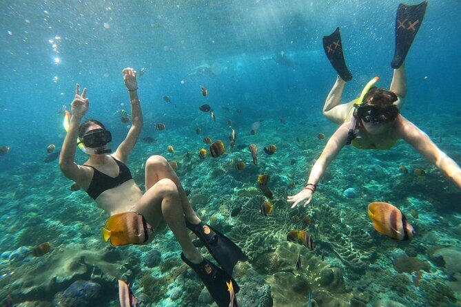 Snorkeling In Nusa Penida Island With Manta Ray From Bali - The pacing that makes this feel like more than a transfer