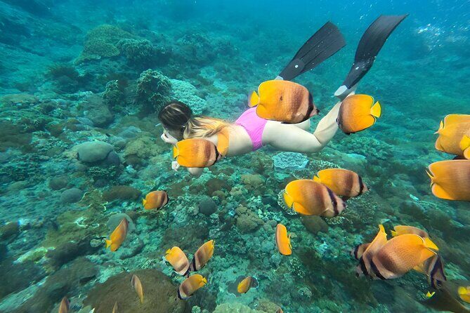 Snorkeling In Nusa Penida Island With Manta Ray From Bali - The GoPro underwater shooting: why this is a smarter photo setup