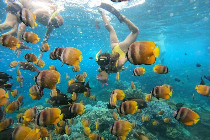 Snorkeling In Nusa Penida Island With Manta Ray From Bali - What to bring so you feel good between stops