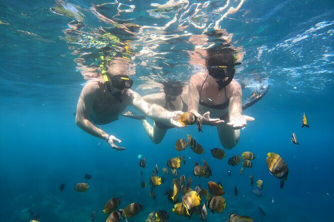 Snorkeling In Nusa Penida Island With Manta Ray From Bali - Safety and sea conditions: the one variable you can’t fully control