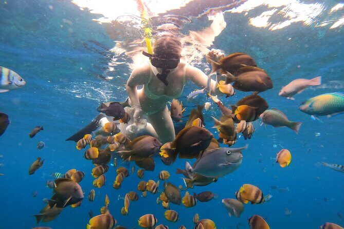 Snorkeling In Nusa Penida Island With Manta Ray From Bali - Nusa Penida morning snorkeling: Gamat Bay, Wall Point, Crystal Bay, and Manta Bay