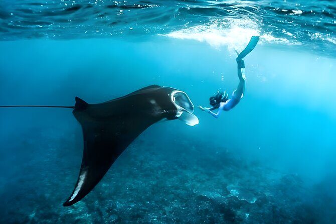 Snorkeling in Wall Point, Gamat Bay and Manta Bay: Nusa Penida Island - Entering the small-boat reality: gear and guide support