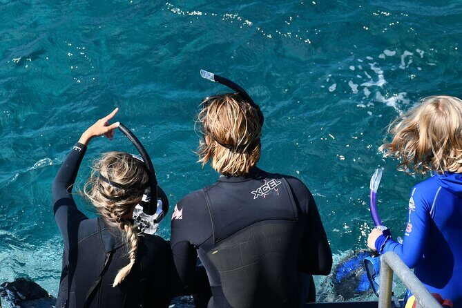 Snorkeling Manta Rays, Land Tour Tembeling Pool & Kelingking - Price and logistics: is $18.35 a smart buy?