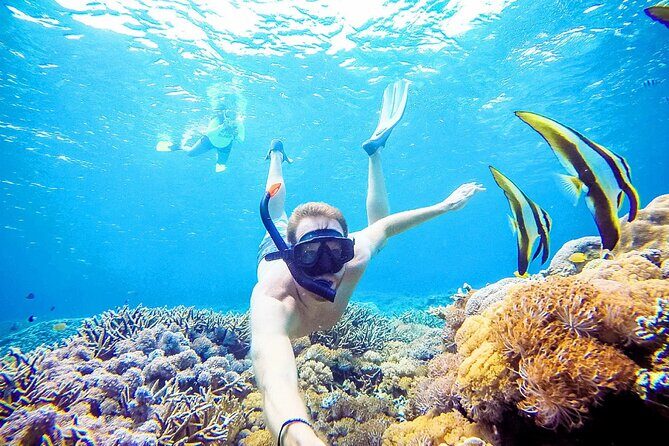 Snorkeling Nusa Penida and Island Tour Package - Why This Nusa Penida Combo Tour Makes Sense