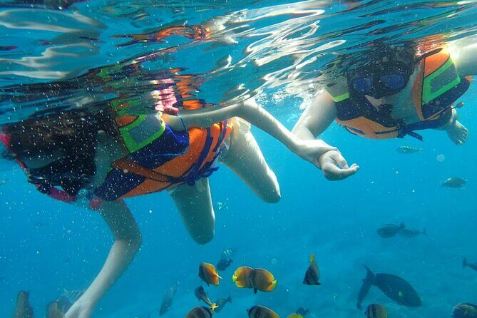 Snorkeling Nusa Penida and Island Tour Package - Snorkeling at Manta Point, Wall Point, and Mangrove Point