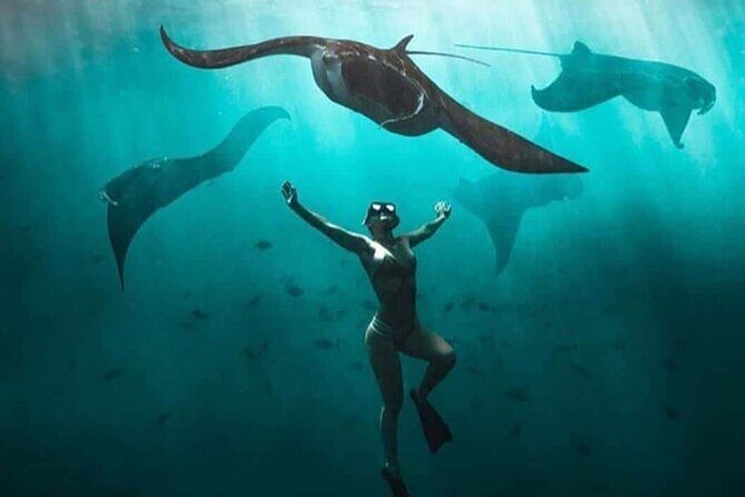 Snorkeling Nusa Penida and Island Tour Package - Price and Value: Is $90 Fair for This Day?