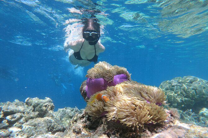 Snorkeling Tour at Blue Lagoon with Private Hotel Transfer - Key things I’d plan around