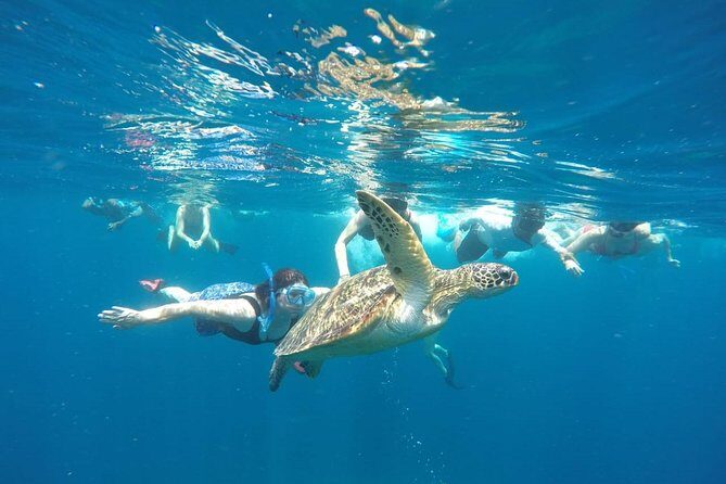Snorkeling Tour In Gili Trawangan, Gili Meno And Gili Air Pick Up From Bali - Key things that make this tour tick