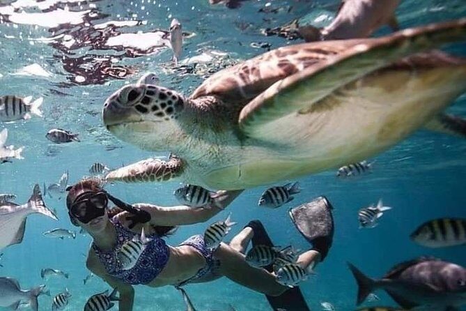 Snorkeling Tour In Gili Trawangan, Gili Meno And Gili Air Pick Up From Bali - How the Gili Speedboat Day Trip Works From Kuta