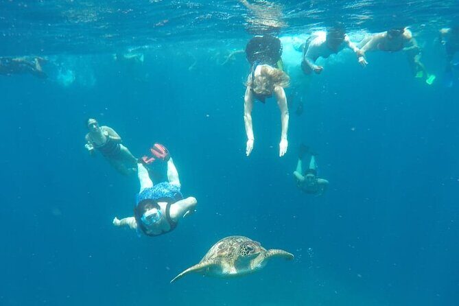 Snorkeling Tour In Gili Trawangan, Gili Meno And Gili Air Pick Up From Bali - Gili Meno Statue’s Spot and Turtle’s Spot: variety in a quieter pocket