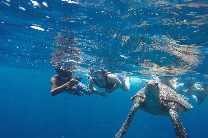 Snorkeling Tour In Gili Trawangan, Gili Meno And Gili Air Pick Up From Bali - Gili Air Fish Spot: the lighter finish